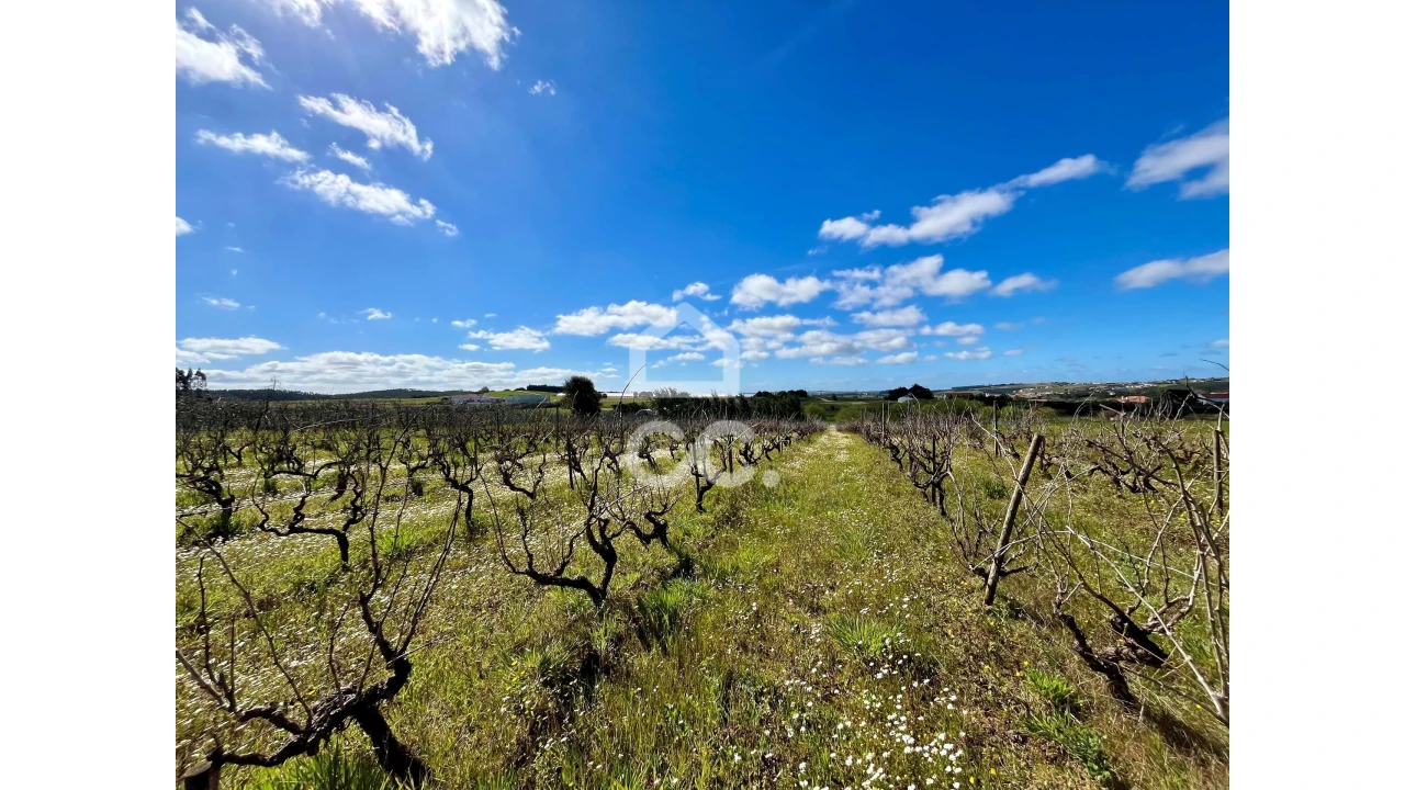 Terreno para Venda em Moita dos Ferreiros Foto 12