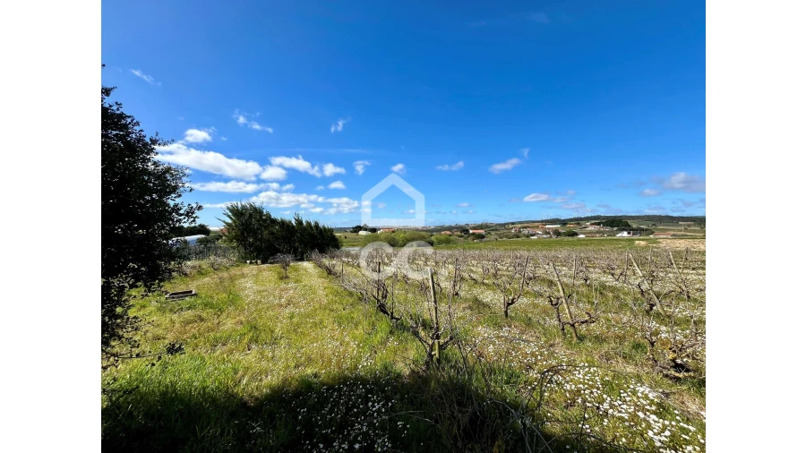 Terreno para Venda em Moita dos Ferreiros Foto 4