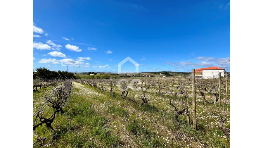 Terreno para Venda em Moita dos Ferreiros Foto 7