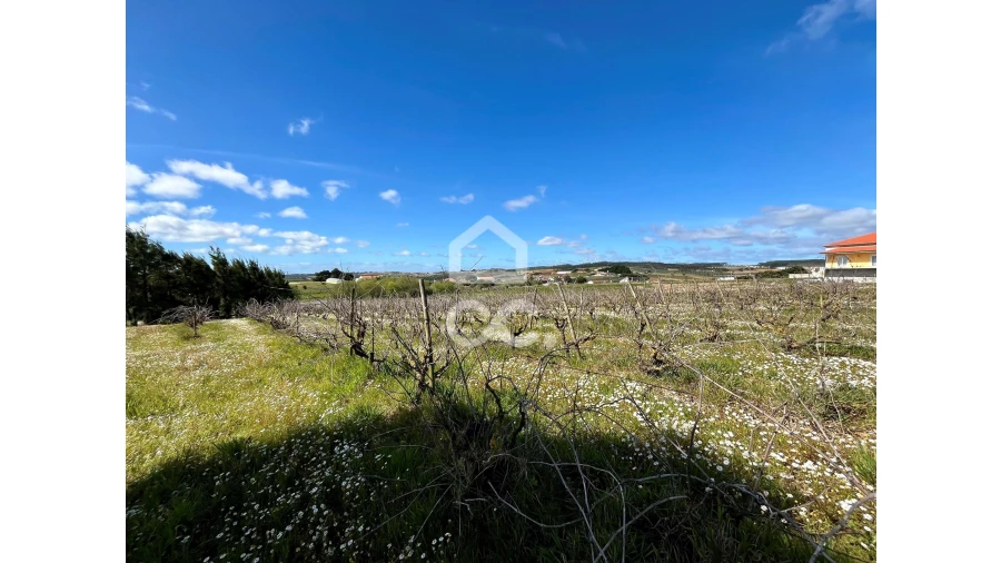 Terreno para Venda em Moita dos Ferreiros Foto 3