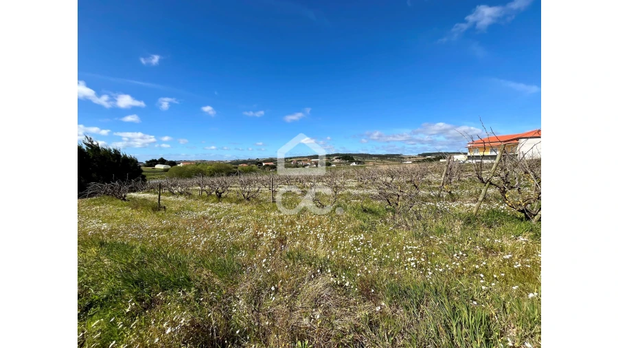 Terreno para Venda em Moita dos Ferreiros Foto 2