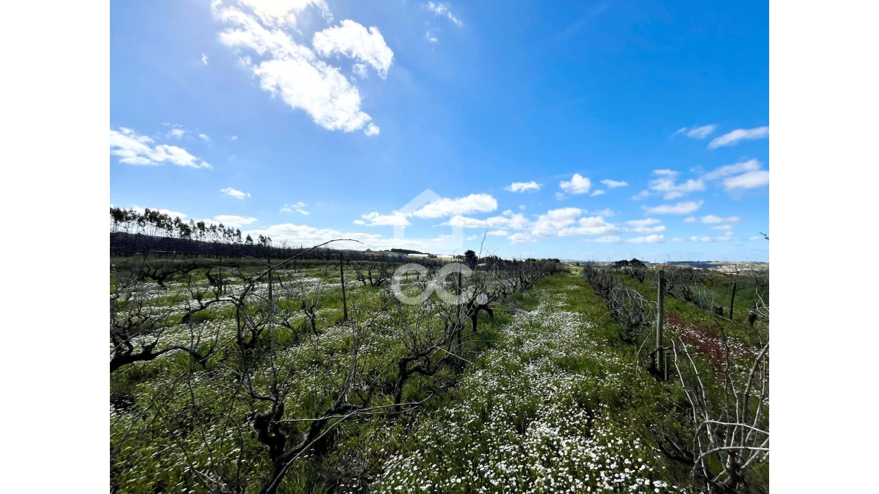 Terreno para Venda em Moita dos Ferreiros Foto 1