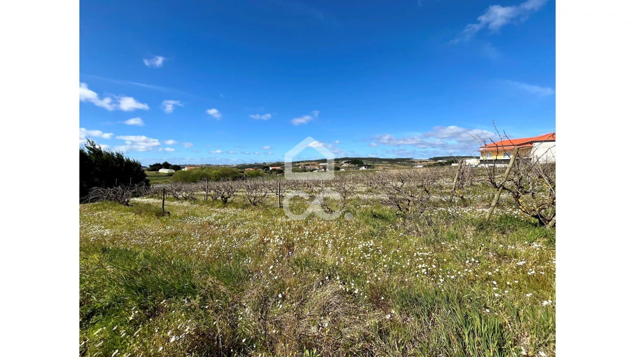 Terreno para Venda em Moita dos Ferreiros Foto 2