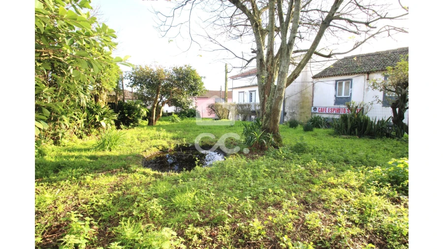 Moradia T3 para Venda em Arrifes Foto 18