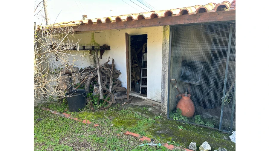 Moradia T4 para Venda em Bustos, Troviscal e Mamarrosa Foto 31