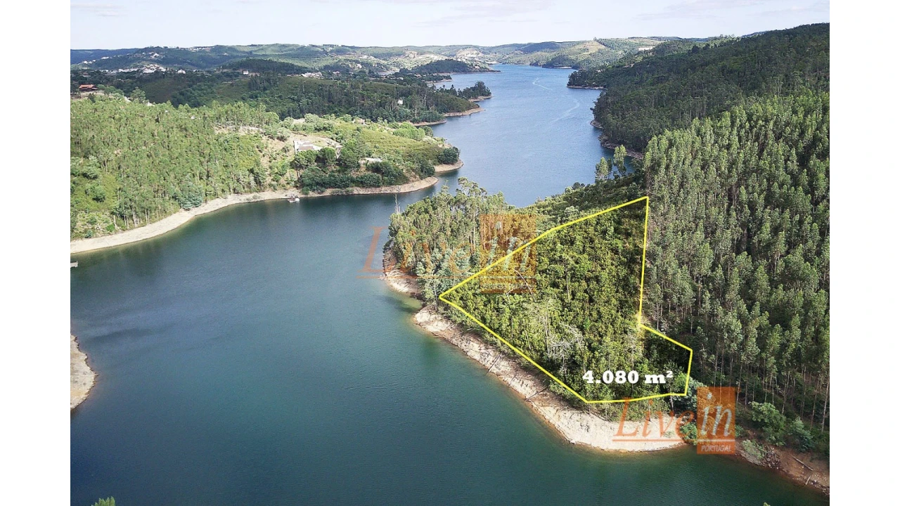 Terreno Agricola ou Rústico para Venda em Serra e Junceira Foto 2