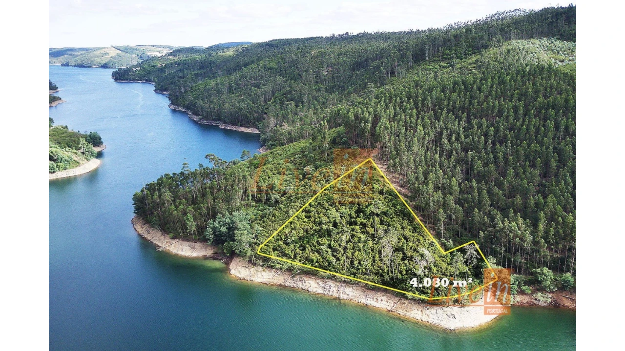 Terreno Agricola ou Rústico para Venda em Serra e Junceira Foto 1
