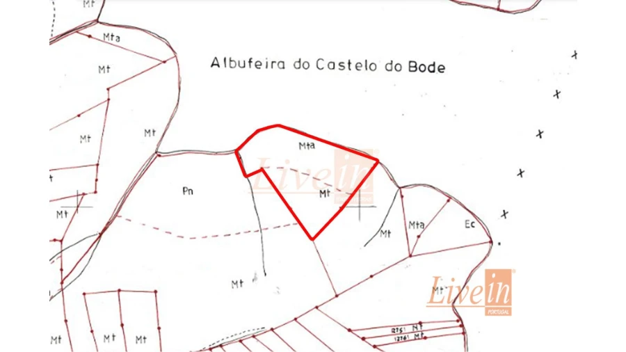 Terreno Agricola ou Rústico para Venda em Serra e Junceira Foto 4