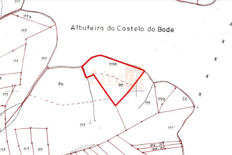 Terreno Agricola ou Rústico para Venda em Serra e Junceira Planta 1