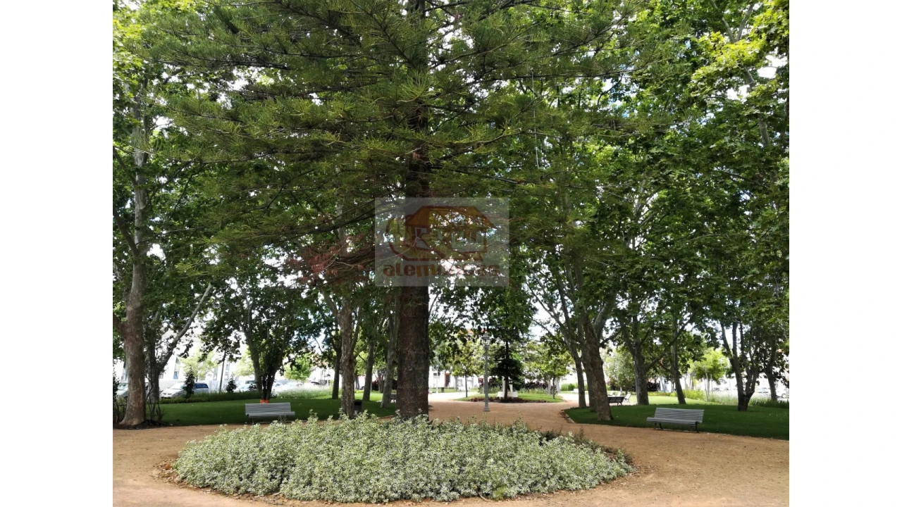 Loja para Venda em Grândola e Santa Margarida da Serra Foto 12