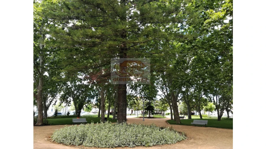 Loja para Venda em Grândola e Santa Margarida da Serra Foto 12