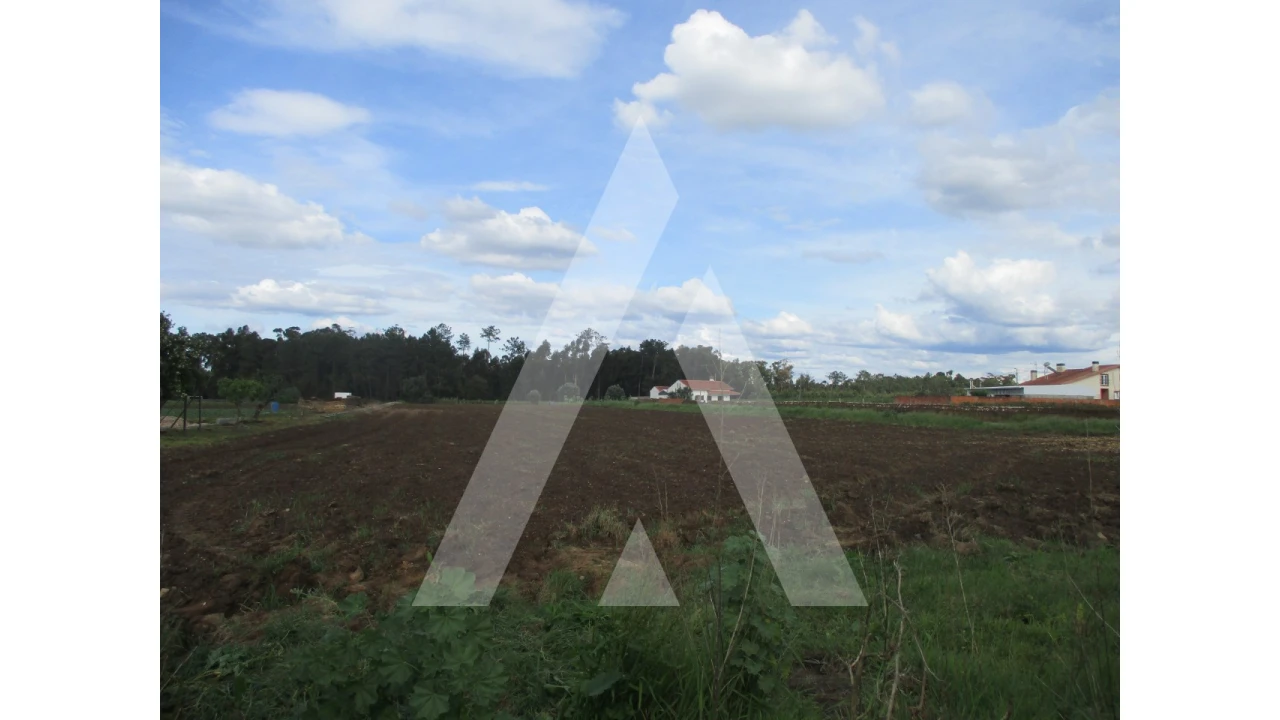 Terreno para Venda em Oiã Foto 1