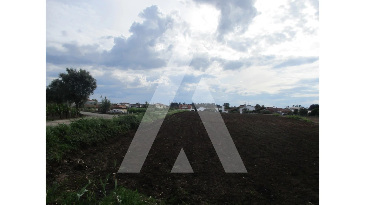 Terreno para Venda em Oiã Foto 2