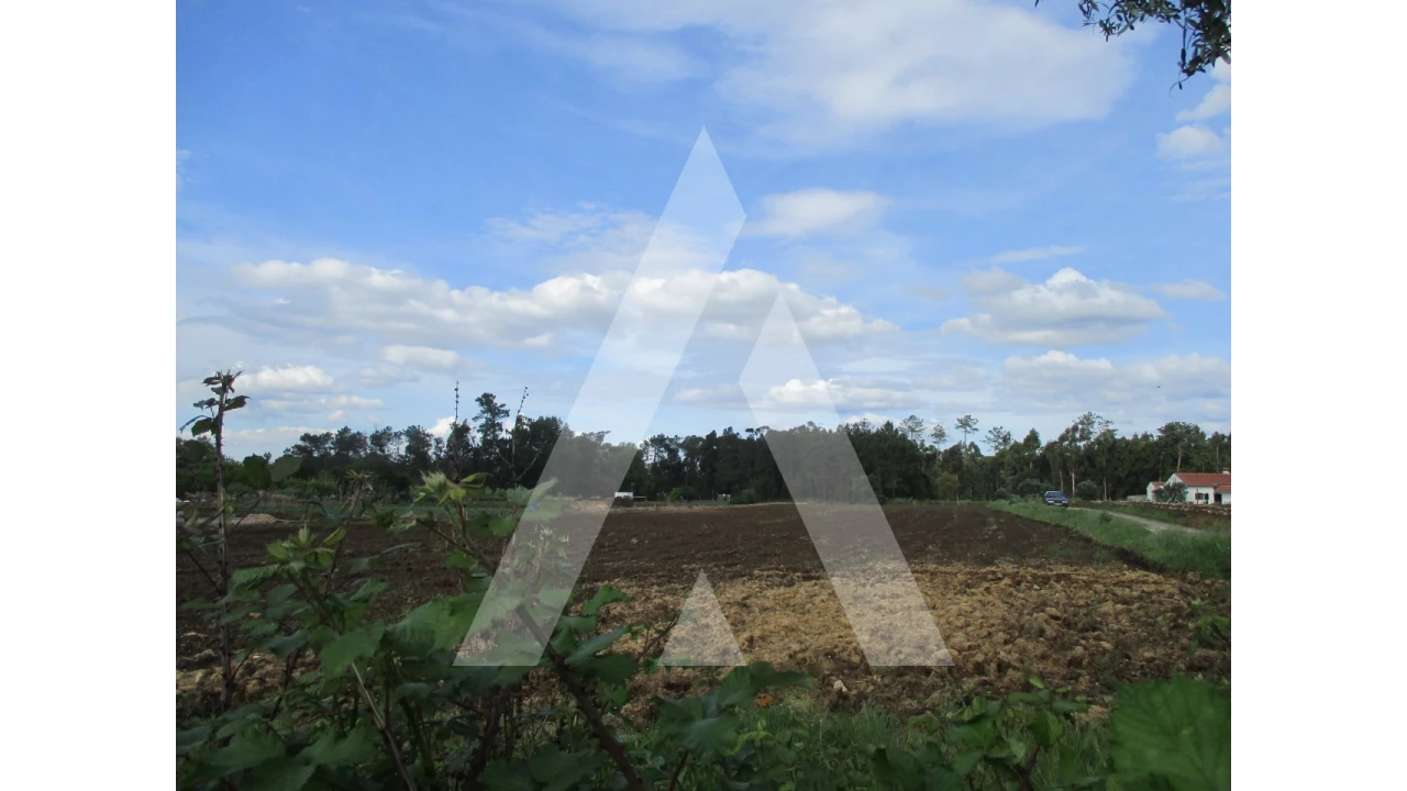 Terreno para Venda em Oiã Foto 3