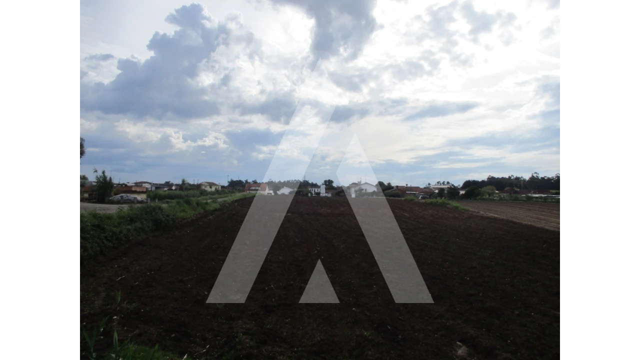 Terreno para Venda em Oiã Foto 4
