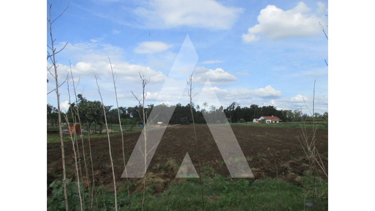 Terreno para Venda em Oiã Foto 5