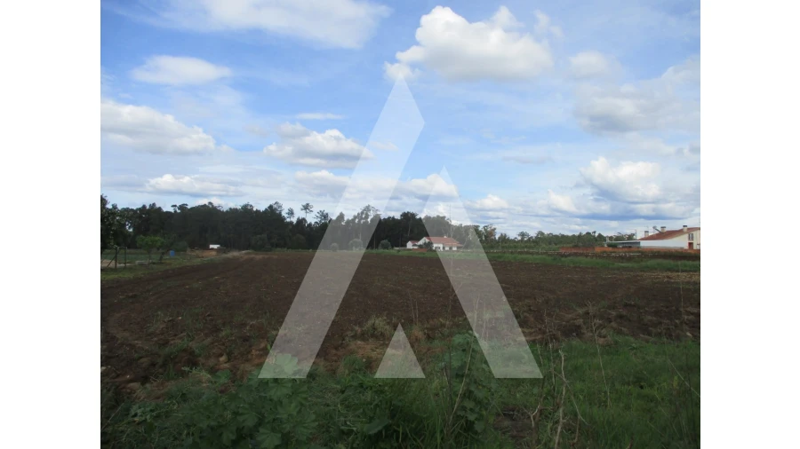 Terreno para Venda em Oiã Foto 1