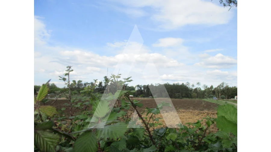 Terreno para Venda em Oiã Foto 6