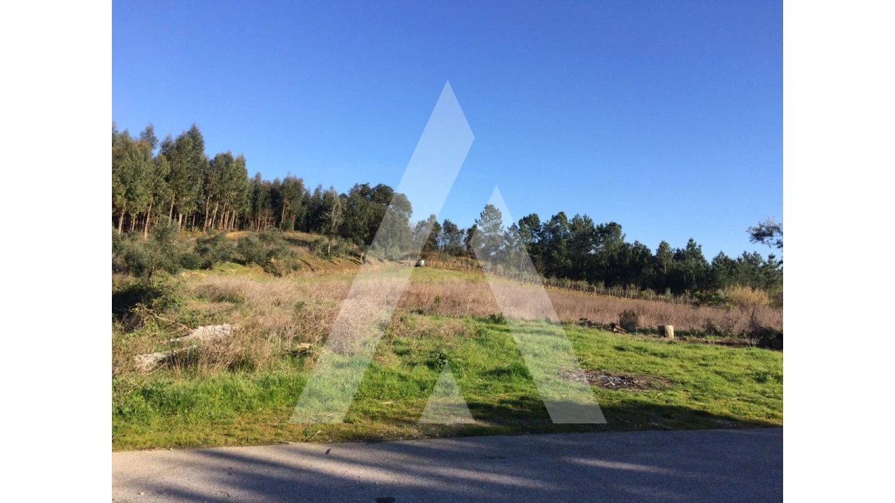 Terreno para Venda em Tamengos, Aguim e Óis do Bairro Foto 1