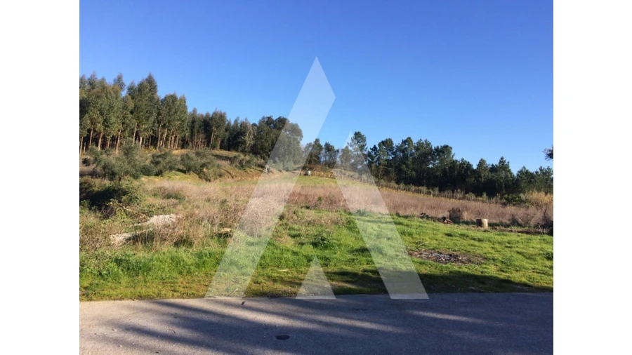 Terreno para Venda em Tamengos, Aguim e Óis do Bairro Foto 2