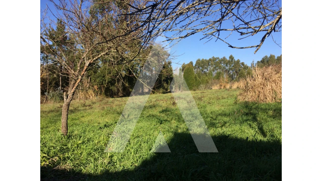 Terreno para Venda em São Lourenço do Bairro Foto 3