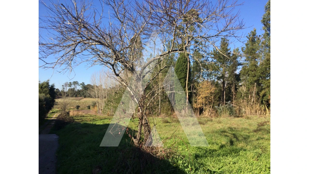 Terreno para Venda em São Lourenço do Bairro Foto 4