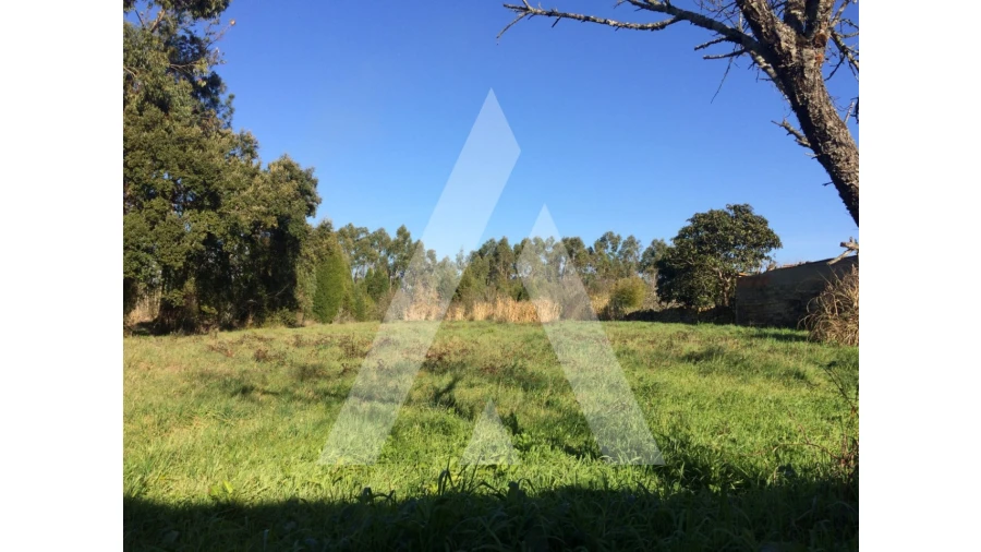 Terreno para Venda em São Lourenço do Bairro Foto 1