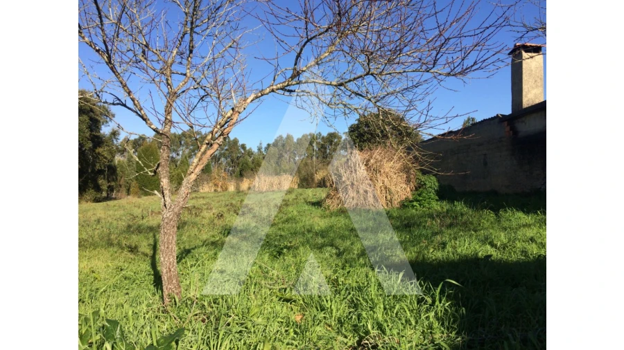 Terreno para Venda em São Lourenço do Bairro Foto 2