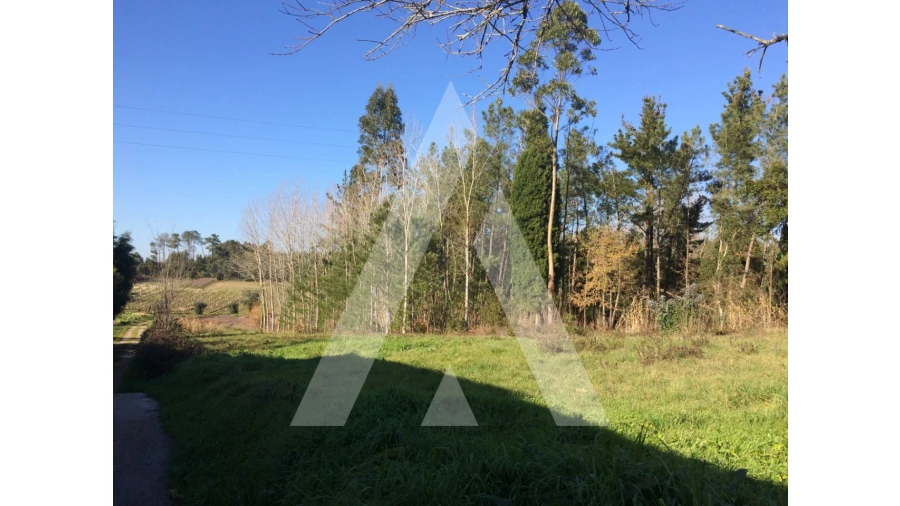 Terreno para Venda em São Lourenço do Bairro Foto 6