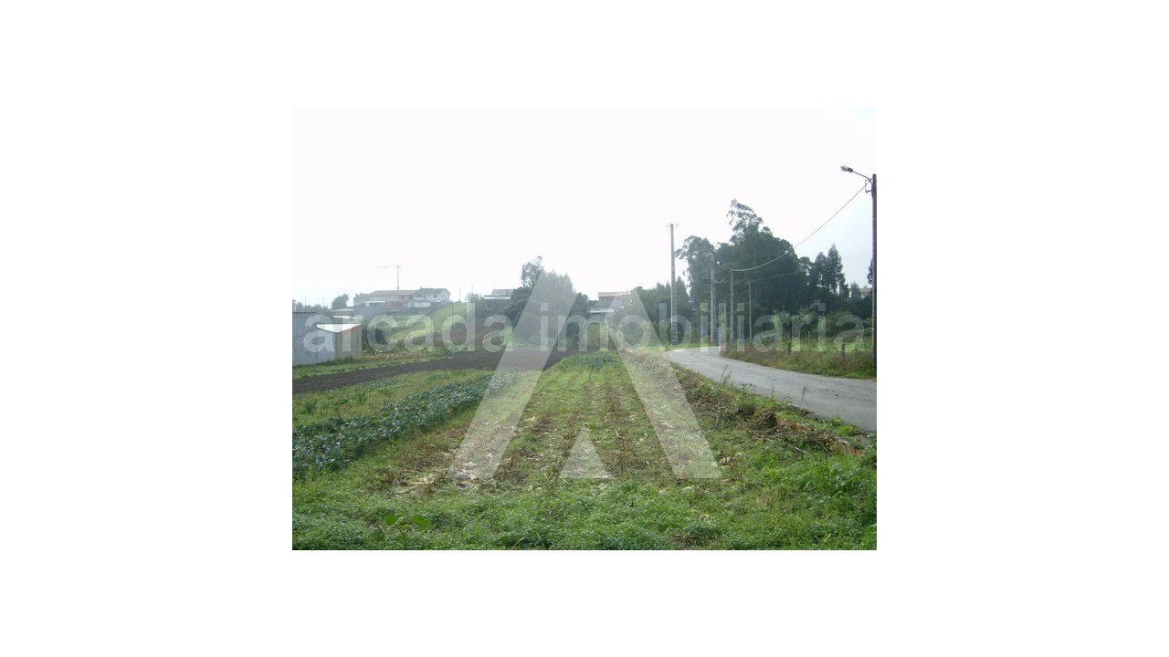 Terreno para Venda em Fermentelos Foto 1