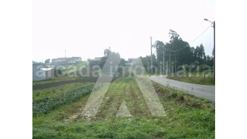 Terreno para Venda em Fermentelos