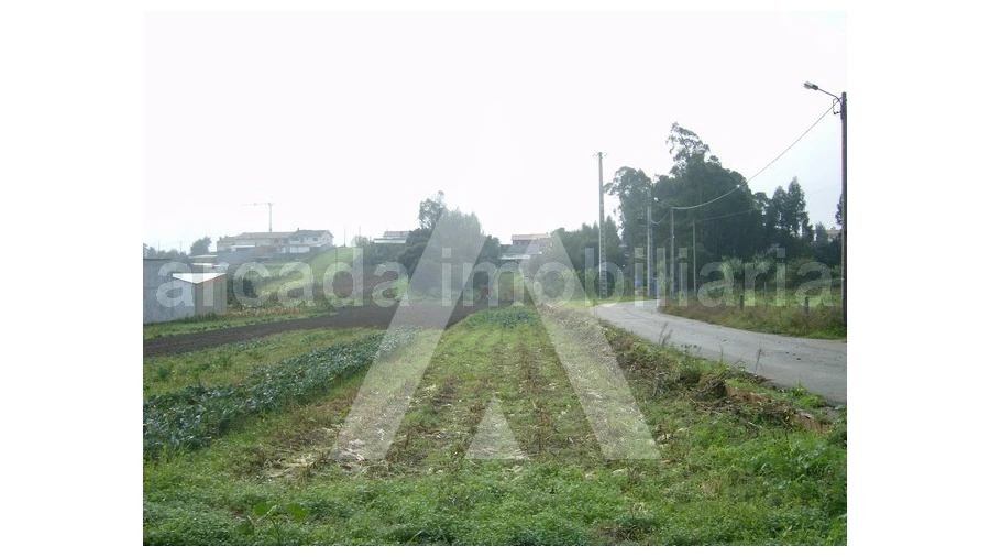Terreno para Venda em Fermentelos