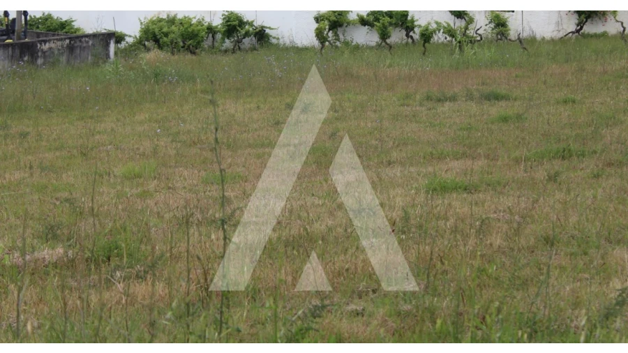 Terreno para Venda em São Lourenço do Bairro