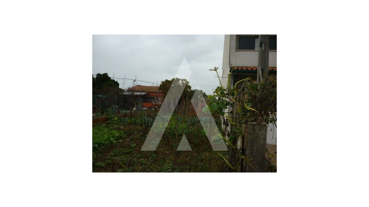 Terreno para Venda em Palhaça Foto 2