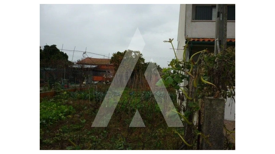 Terreno para Venda em Palhaça Foto 2