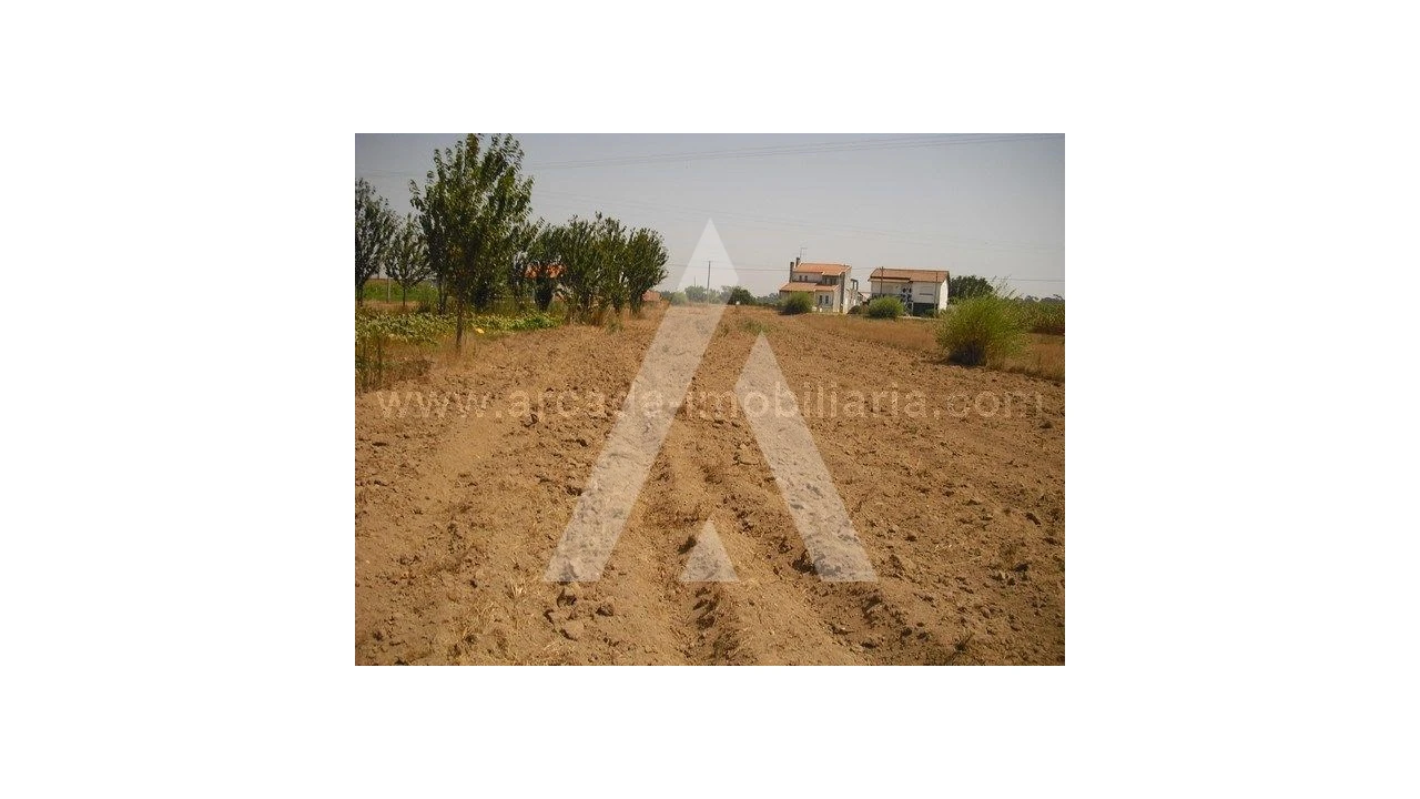 Terreno para Venda em Soza Foto 1