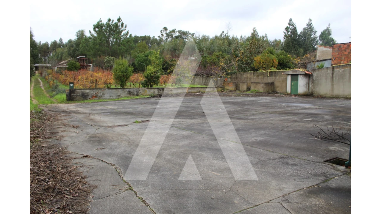 Negócio para Venda em Avelãs de Caminho Foto 29