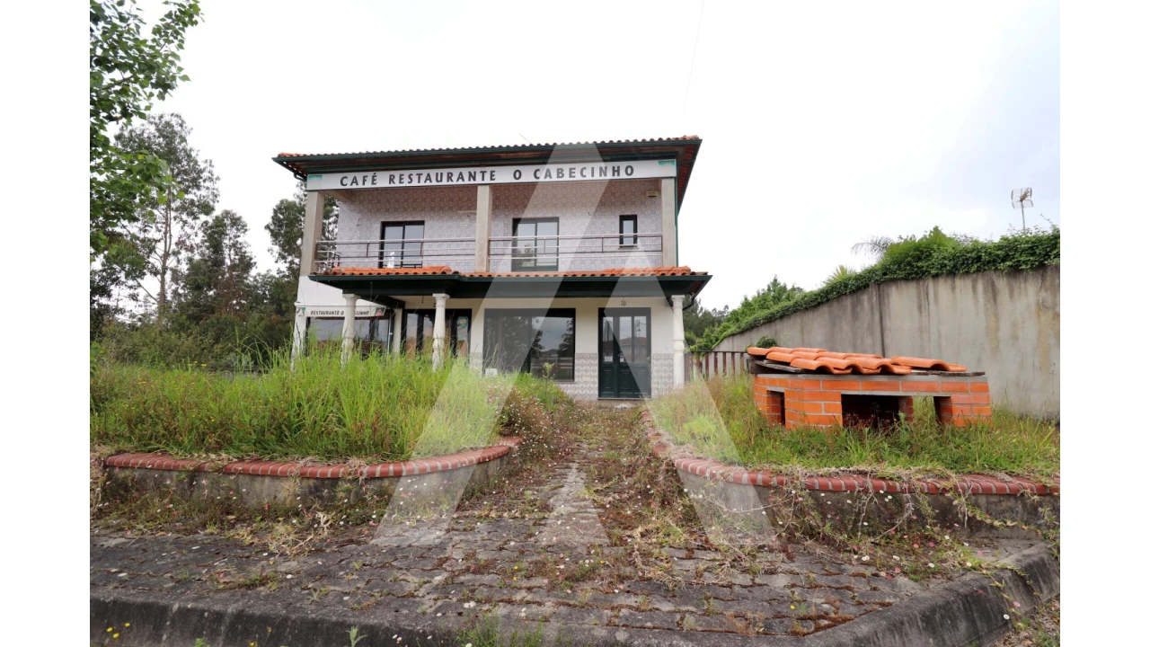 Negócio para Venda em Avelãs de Caminho Foto 1