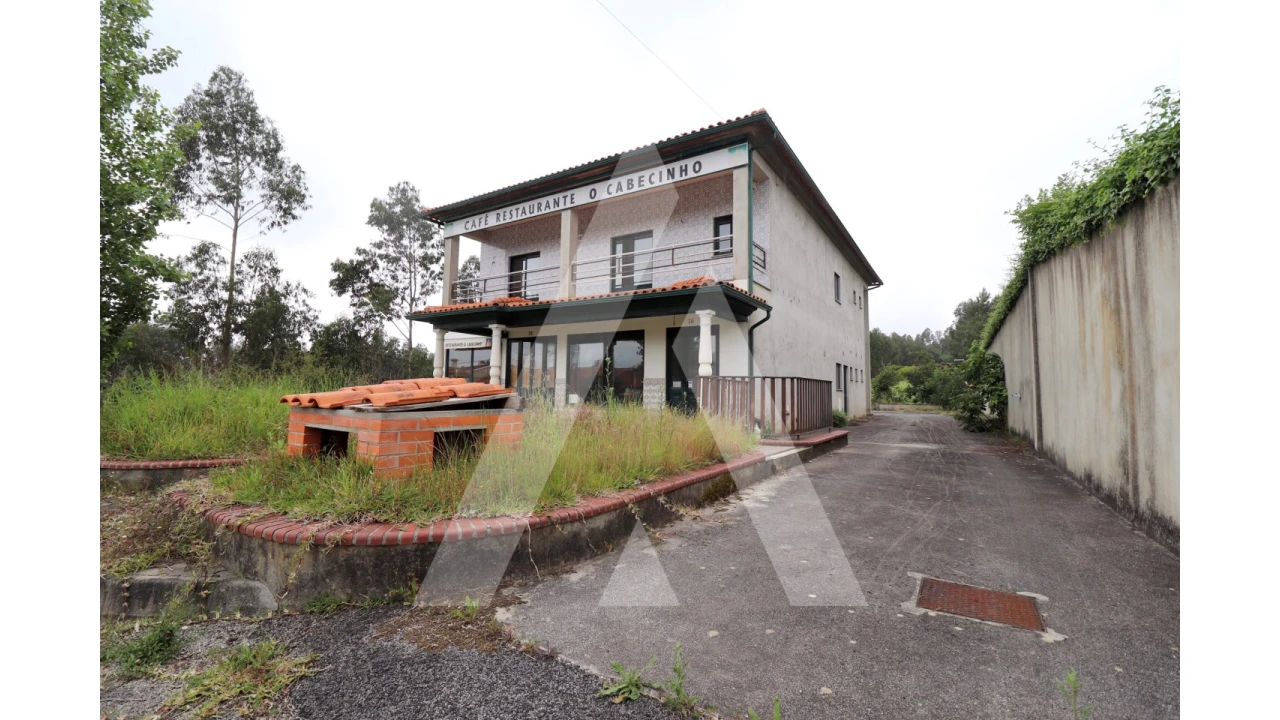 Negócio para Venda em Avelãs de Caminho Foto 2