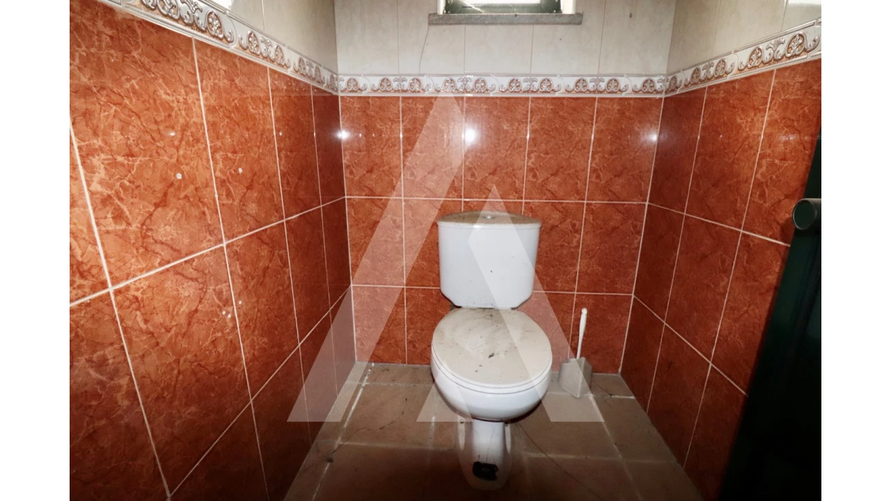 Negócio para Venda em Avelãs de Caminho Foto 16