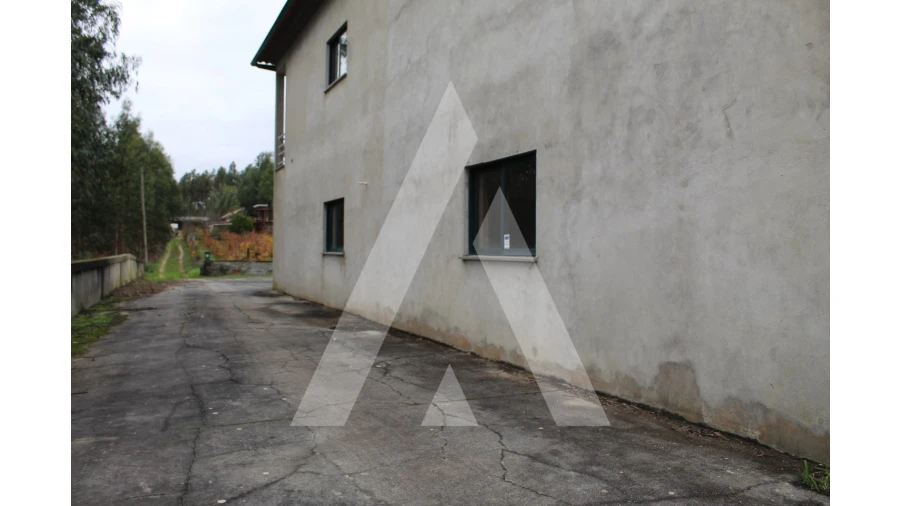 Negócio para Venda em Avelãs de Caminho Foto 28