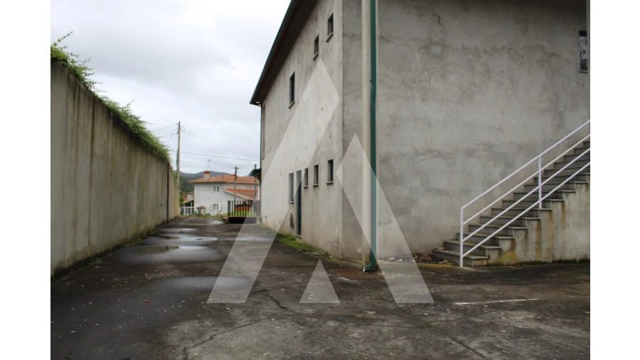 Negócio para Venda em Avelãs de Caminho Foto 32