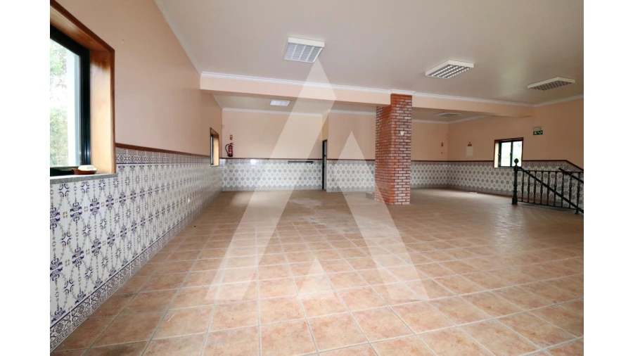 Negócio para Venda em Avelãs de Caminho Foto 21