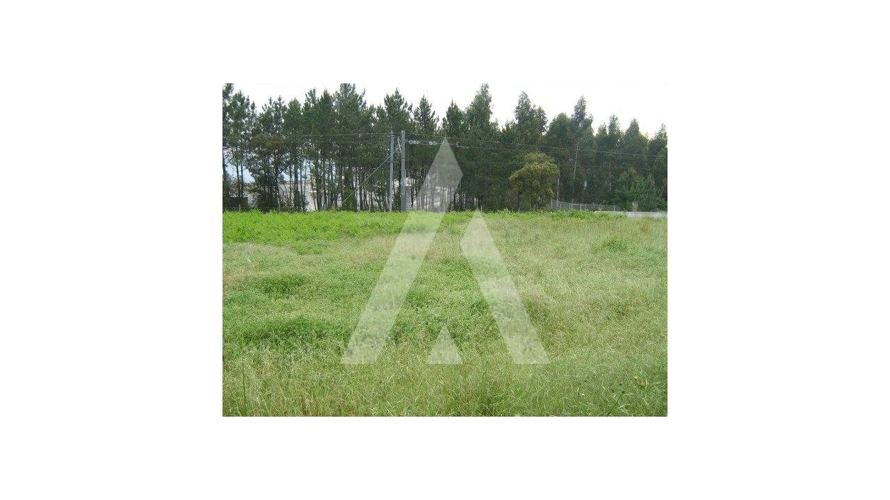 Terreno para Venda em Oiã Foto 3