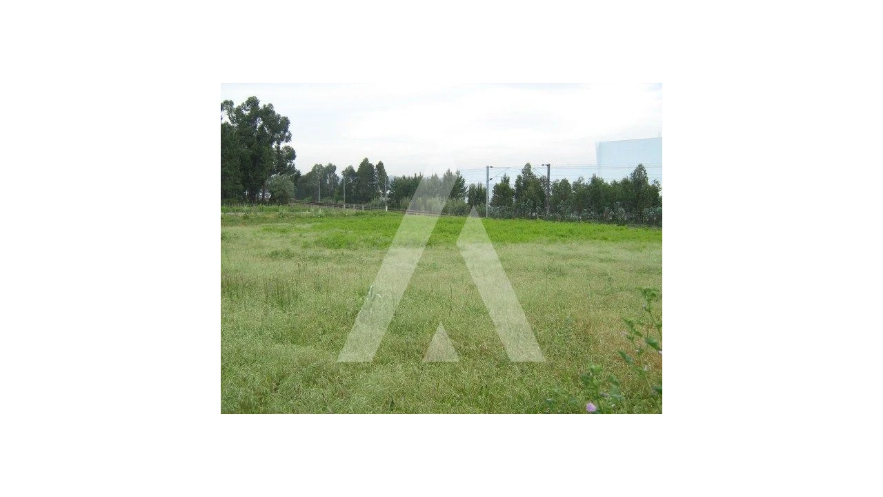 Terreno para Venda em Oiã Foto 4