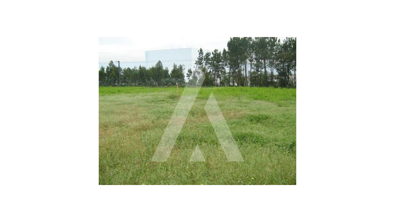 Terreno para Venda em Oiã Foto 2
