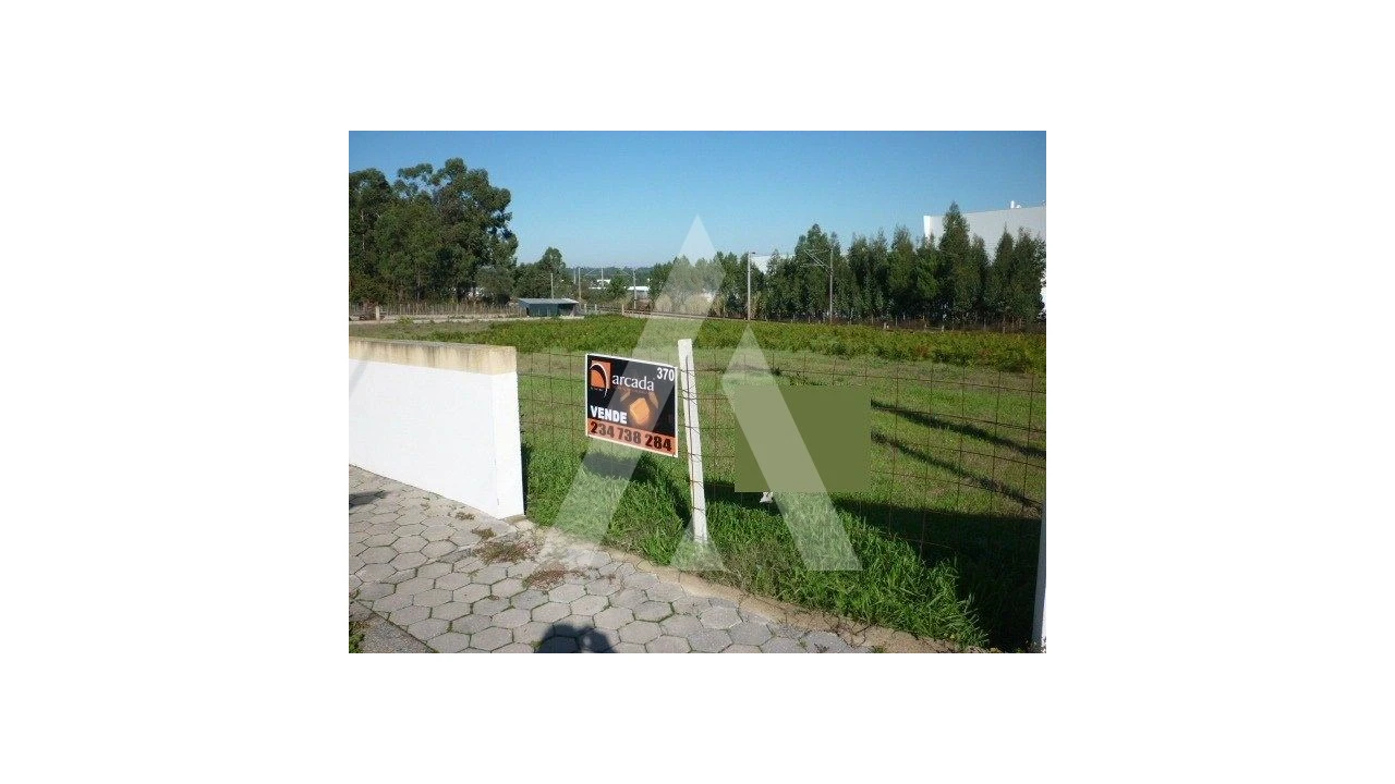 Terreno para Venda em Oiã Foto 1
