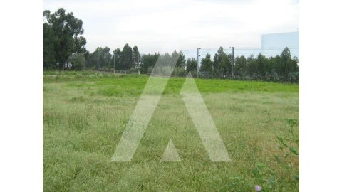 Terreno para Venda em Oiã