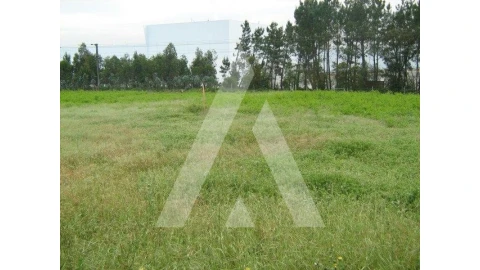 Terreno para Venda em Oiã