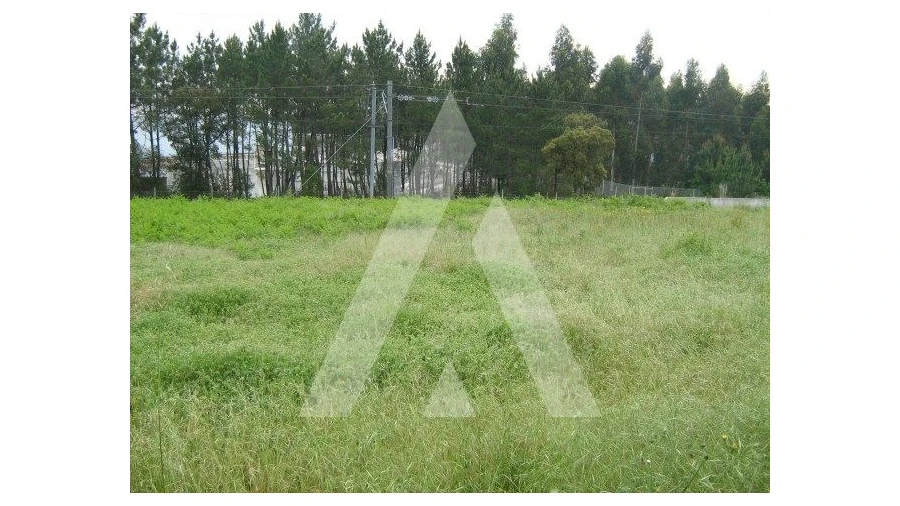 Terreno para Venda em Oiã Foto 3